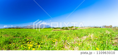 うららかな春風に映える(くじゅう連山)と大自然の高原風景「うぶやま牧場周辺(阿蘇郡産山村)」 うららかな春風に映える(くじゅう連山)と大自然の高原風景「うぶやま牧場周辺(阿蘇郡産山村)」 110963010