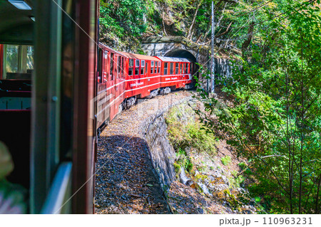 静岡県大井川鐵道の絶景巡り 赤いトロッコ列車(南アルプスあぷとライン) 静岡県大井川鐵道の絶景巡り 赤いトロッコ列車(南アルプスあぷとライン) 110963231