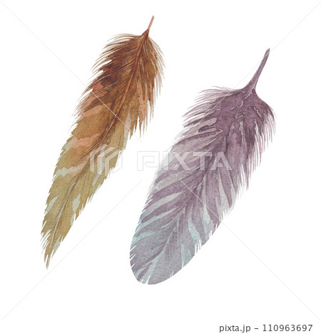 watercolor illustration of golden and pearlescent bird feathers, hand drawn on white background 110963697