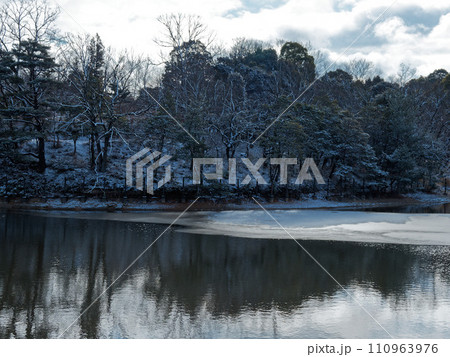 雪の降った朝 溜池風景 雪の降った朝 溜池風景 110963976