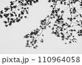 紅葉 110964058