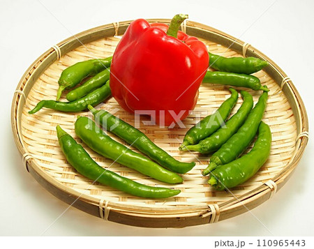 収穫したパプリカと伏見甘長ピーマン 110965443