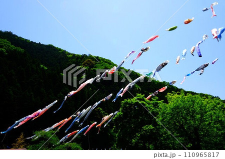 山の上を泳ぐ鯉のぼり 【相模原市津久井 5月】 山の上を泳ぐ鯉のぼり 【相模原市津久井 5月】 110965817