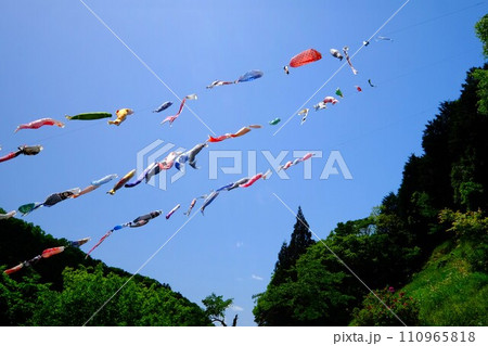 谷間を泳ぐ鯉のぼり 【相模原市津久井 5月】 谷間を泳ぐ鯉のぼり 【相模原市津久井 5月】 110965818
