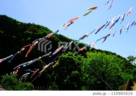 山を泳ぐたくさんの鯉のぼり　【相模原市津久井　5月】 110965819