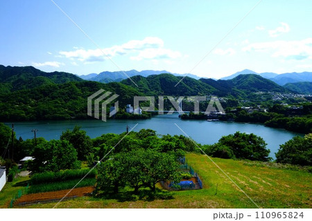 新緑の相模湖俯瞰　【相模原市津久井　5月】 110965824