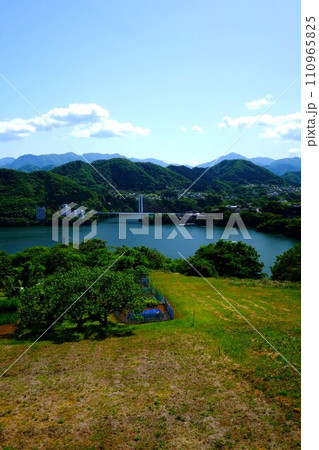 新緑の相模湖俯瞰　【相模原市津久井　5月】 110965825