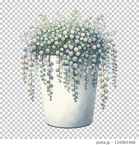 Senecio (String of Pearls, String of Bananas)  in a pot watercolor clipart 110965986