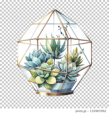 Succulent arrangement in a geometric terrarium.... - Stock Illustration  [110965992] - PIXTA