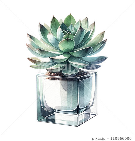 Succulent plant with a modern glass planter watercolor clipart Succulent plant with a modern glass planter watercolor clipart 110966006