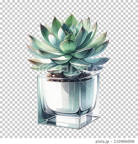 Succulent plant with a modern glass planter watercolor clipart Succulent plant with a modern glass planter watercolor clipart 110966006