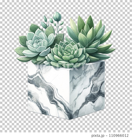 Succulent with a marble-patterned square pot watercolor clipart Succulent with a marble-patterned square pot watercolor clipart 110966012
