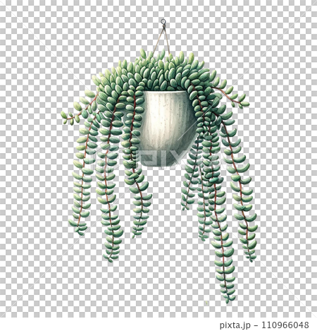 succulent with a hanging ceramic planter watercolor clipart succulent with a hanging ceramic planter watercolor clipart 110966048