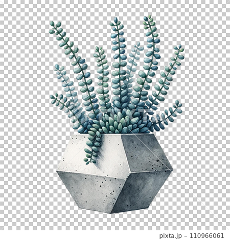 Succulent with a concrete geometric planter watercolor clipart 110966061