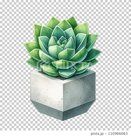 Succulent with a concrete geometric planter watercolor clipart 110966063