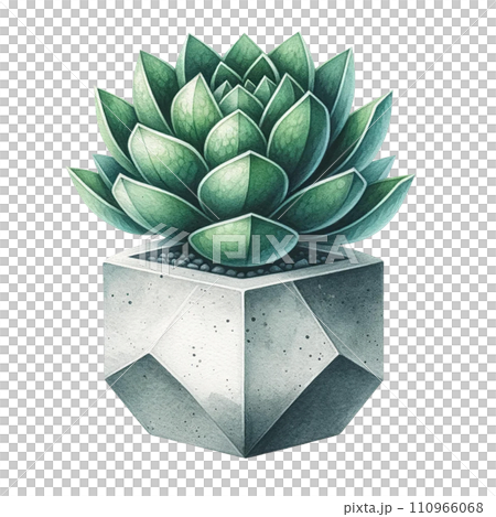 Succulent with a concrete geometric planter watercolor clipart Succulent with a concrete geometric planter watercolor clipart 110966068