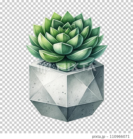 Succulent with a concrete geometric planter watercolor clipart Succulent with a concrete geometric planter watercolor clipart 110966071