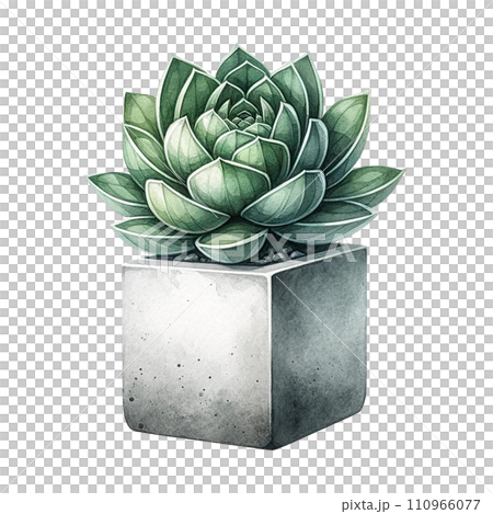 Succulent plant with a concrete planter watercolor clipart 110966077