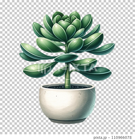 Succulent plant with a concrete planter watercolor clipart 110966078