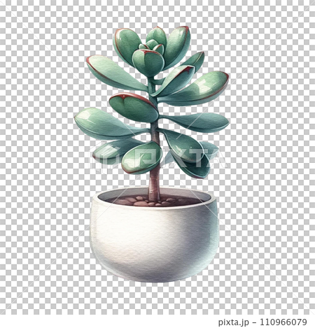Succulent plant with a concrete planter watercolor clipart 110966079