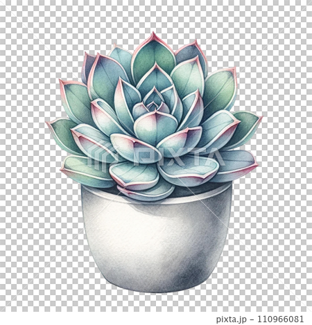 Succulent plant with a concrete planter watercolor clipart Succulent plant with a concrete planter watercolor clipart 110966081