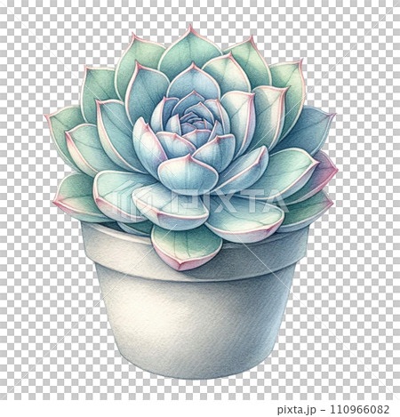 Succulent plant with a concrete planter watercolor clipart Succulent plant with a concrete planter watercolor clipart 110966082