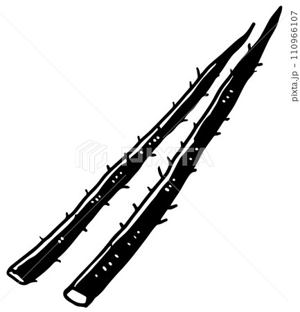 ごぼう単色 110966107