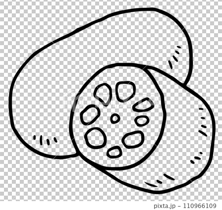 lotus root line drawing 110966109