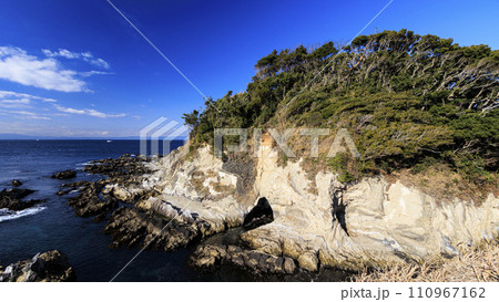 三浦半島の景勝地荒崎公園 110967162