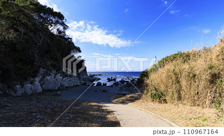 三浦半島の景勝地荒崎公園 110967164