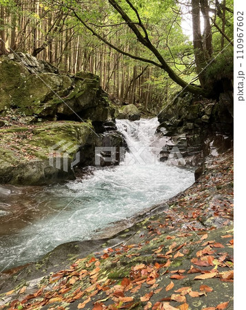 奈良・天川村 秋の山上川「かじかの滝」 奈良・天川村 秋の山上川「かじかの滝」 110967602