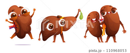 Set of cute characters of human organs in cartoon style. Couple of buds in love hugging each other. Happy jumping spleen. Liver with a funny surprised expression holding a gallbladder in his hand. 110968053