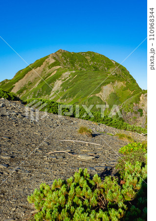 静岡県の日本百名山塩見岳登山 モルゲンロートの塩見岳東峰 静岡県の日本百名山塩見岳登山 モルゲンロートの塩見岳東峰 110968344