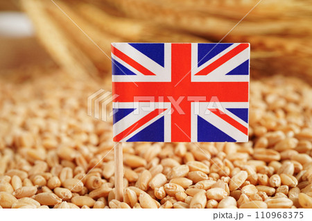 United Kingdom flag on grain wheat, trade export and economy concept. United Kingdom flag on grain wheat, trade export and economy concept. 110968375