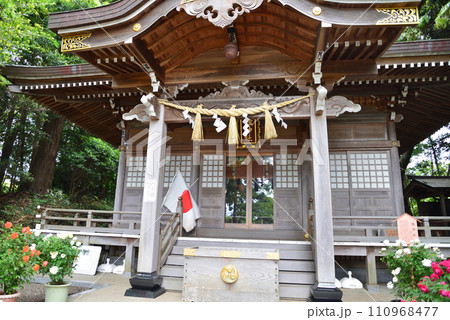 艫(とも)神社にバラを見に #51 艫(とも)神社にバラを見に #51 110968477