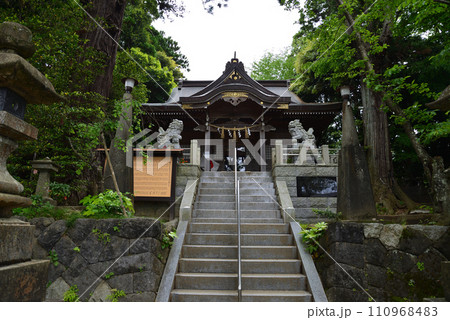 艫(とも)神社にバラを見に　＃57 110968483