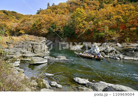 紅葉の長瀞渓谷の岩畳南端付近を流れる荒川に長瀞ライン下りの遊覧船 紅葉の長瀞渓谷の岩畳南端付近を流れる荒川に長瀞ライン下りの遊覧船 110969004