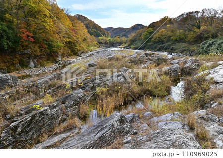 紅葉の長瀞渓谷の岩畳南端付近を流れる荒川に長瀞ライン下りの遊覧船 110969025