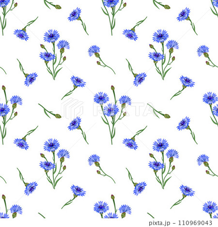 Seamless floral pattern with cornflowers isolated on a white background. 110969043