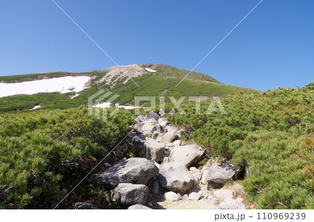 白山室堂への登山道 五葉坂 白山室堂への登山道 五葉坂 110969239