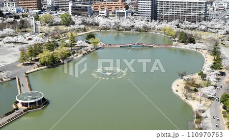 春爛漫の絵巻 - 郡山市開成山公園の桜空撮 110970763