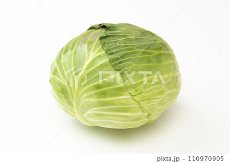 白背景にキャベツ 110970905