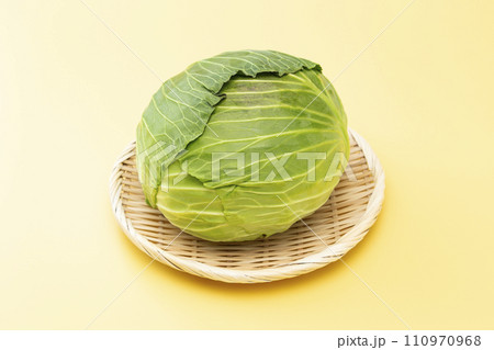 黄色背景にキャベツ 黄色背景にキャベツ 110970968