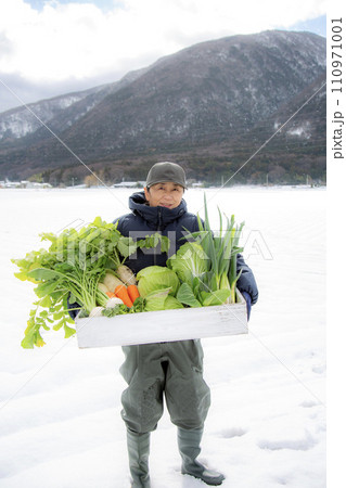 越冬野菜を持つ日本人女性、雪下野菜、農業 越冬野菜を持つ日本人女性、雪下野菜、農業 110971001
