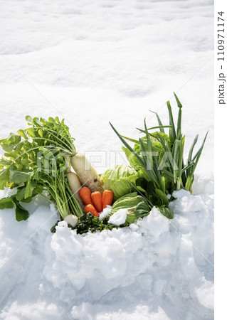 越冬野菜、雪下野菜、雪室野菜、日本の冬野菜 110971174