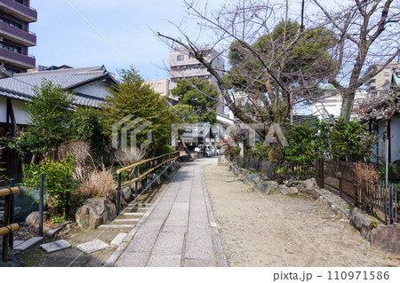 梅の花が咲き始めた菅大臣神社(京都) 梅の花が咲き始めた菅大臣神社(京都) 110971586