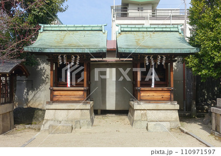 梅の花が咲き始めた菅大臣神社(京都) 梅の花が咲き始めた菅大臣神社(京都) 110971597