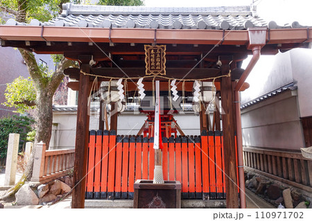 梅の花が咲き始めた菅大臣神社（京都） 110971702