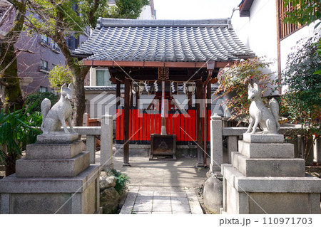 梅の花が咲き始めた菅大臣神社（京都） 110971703