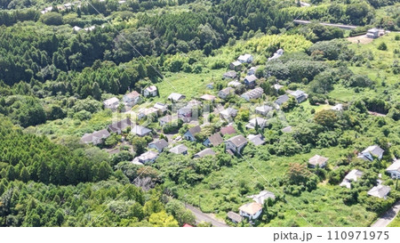 静寂と再生 - 避難後の大熊町で繁茂する緑1 静寂と再生 - 避難後の大熊町で繁茂する緑1 110971975